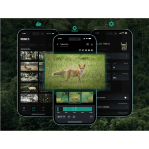 Reolink | 4K 4G Cellular Trail Camera with Live Streaming | Talon Series S130 | Trail | 8 MP | 4mm/F1.6 | IP67 | H.265 | MicroSD Card, up to 256 GB - Image 8