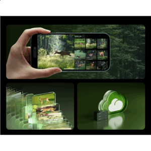 Reolink | 4K 4G Cellular Trail Camera with Live Streaming | Talon Series S130 | Trail | 8 MP | 4mm/F1.6 | IP67 | H.265 | MicroSD Card, up to 256 GB - Image 9