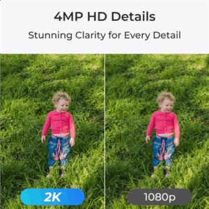 Reolink E Series E330 | PTZ | 5 MP | 4mm/F1.6 | Micro SD, Max. 512 GB - Image 5