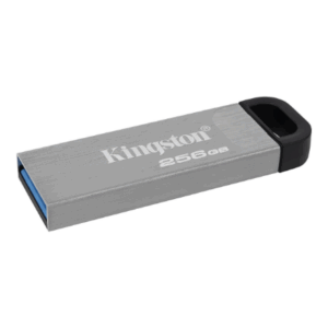 MEMORY DRIVE FLASH USB3.2/256GB DTKN/256GB KINGSTON - Image 4