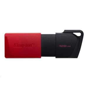 MEMORY DRIVE FLASH USB3.2/128GB DTXM/128GB KINGSTON - Image 2