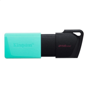 MEMORY DRIVE FLASH USB3.2/256GB DTXM/256GB KINGSTON - Image 2