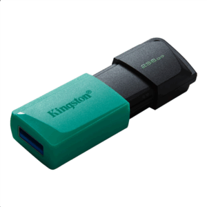 MEMORY DRIVE FLASH USB3.2/256GB DTXM/256GB KINGSTON - Image 3