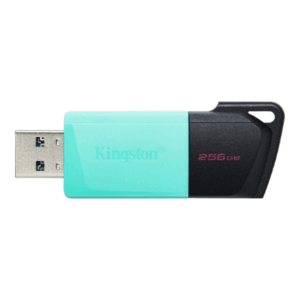 MEMORY DRIVE FLASH USB3.2/256GB DTXM/256GB KINGSTON - Image 7