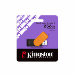 MEMORY DRIVE FLASH USB3.2/256GB DTXS/256GB KINGSTON - Image 4