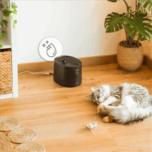 Cecotec Smart Pet Fountain | Pumba 2500 Refresh | Capacity 2.5 L | Black - Image 5