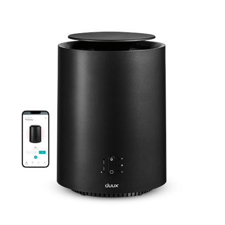 440x440.png8716164989052-nuotrauka-2