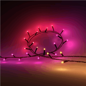 Philips Hue Festavia string lights 250 LED, 20m | 14 W | Variable - Image 3