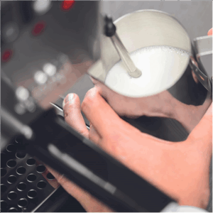 Gaggia | Coffee Maker | RI9481/11 Classic E24 | Pump pressure 15 bar | Built-in milk frother | Semi-automatic | Brushed Stainless Steel - Image 2
