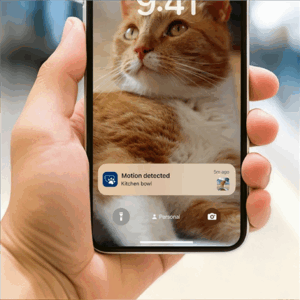 Philips Smart Feeder with Camera | PAW5320/02 5000 Series - Image 4