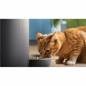 Philips Smart Feeder with Camera | PAW5320/02 5000 Series - Image 8