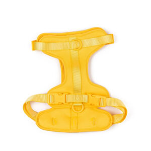 Maxn Petnešos šunims, geltonos spalvos, S