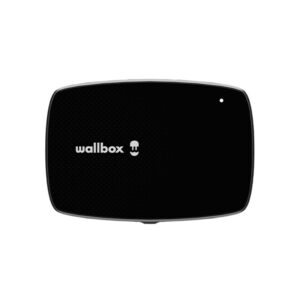 Interneto lizdas Feelspot, pilkas - Image 2