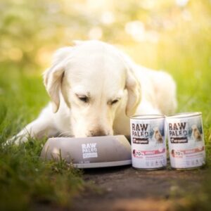 RAW PALEO Adult Monoprotein Pork - šlapias šunų maistas - 400 g - Image 3