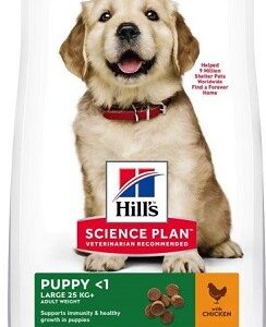 Hill's Science Plan Large Breed Puppy Chicken sausas pašaras šunims iki 1 metų, 16 kg