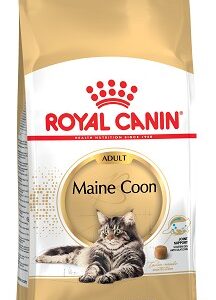 ROYAL CANIN Maine Coon 31 sausas pašaras katėms, 2 kg