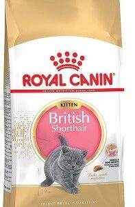 Royal Canin Kitten British Shorthair, 10 kg