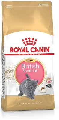 651bc950bf5ed_royal-canin-kitten-british-shorthair