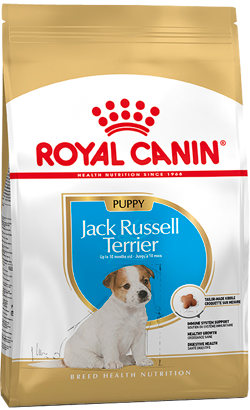 651bc955aa105_royal-canin-jack-russell-terrier-junior