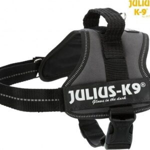 Trixie Julius-K9 petnešos šunims, 2/L-XL dydis: 71-96 cm x 50 mm, antracito spalvos, 1 vnt. - Image 1