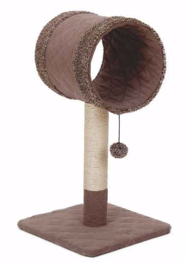 670264ae50f1e_12731_1