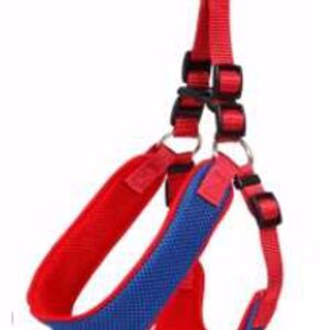 Petnešos kvėpuojantis minkštas S 52-56 cm, 1 vnt.