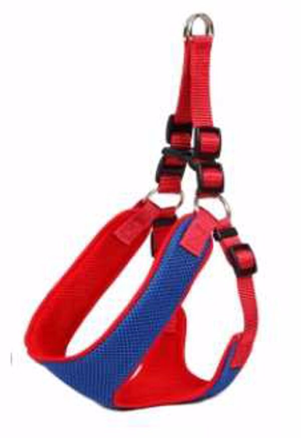 6702689040a17_13092_1