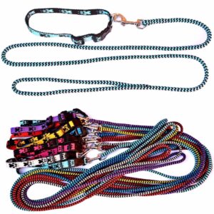 Pavadėlis ir apykaklė, 1 vnt.