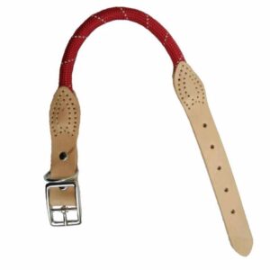 Antkaklis virvelis su odiniu atspindinčiu 2,5 x 55 cm, 1 vnt.