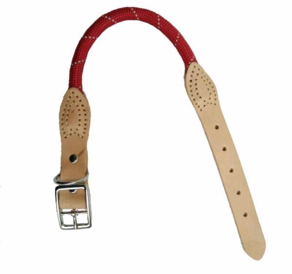 67026f4d5eaed_13838_1