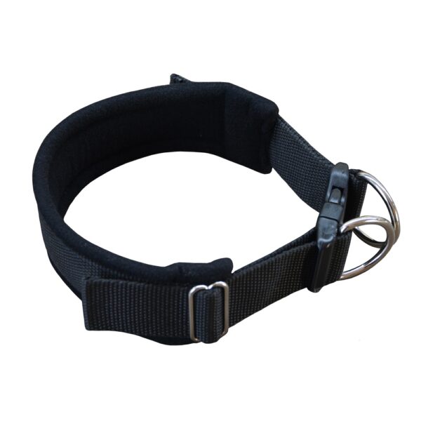 67028d171ca38_16797_1