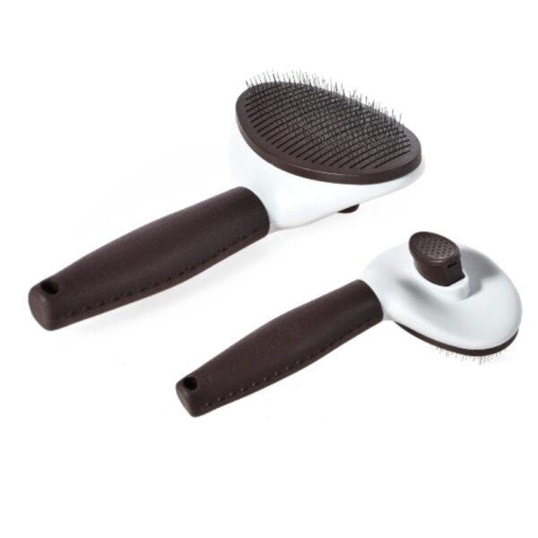 6702b69cadf70_18454_1