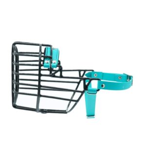 Antsnukis juodas/Biotanas kokerspanielis foksterjeras - šuo, 1 vnt.