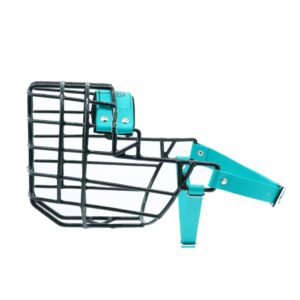 Antsnukis juodas/Biotanas vokiečių aviganis malamutas sargis - kalė, 1 vnt.