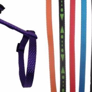 Petnešos dirželis katė, 1 vnt.