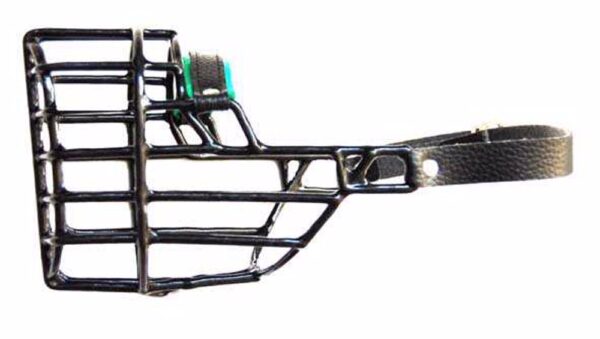 6702ceefcb54d_6384_1