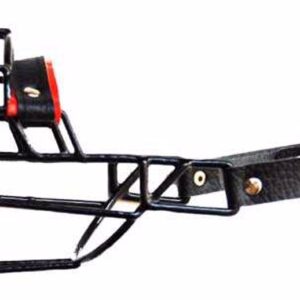 Antsnukis juodas/metalinis pitbulis labradoras čiau čiau stafford.terjeras kalė, 1 vnt.