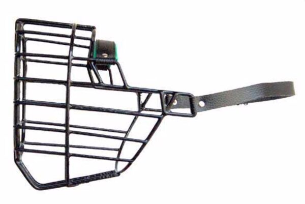 6702cf9115c2b_6401_1