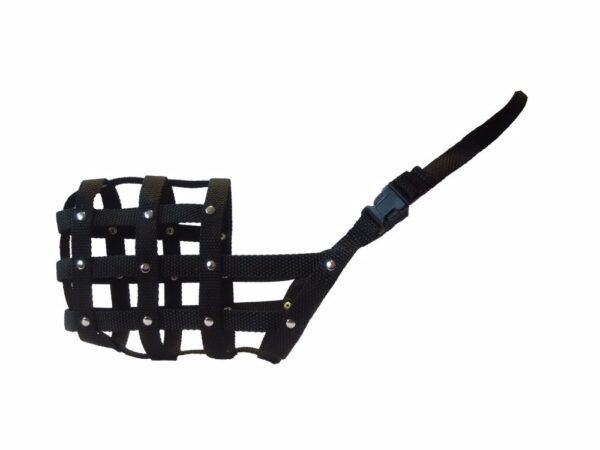 6702dd5101700_9236_1