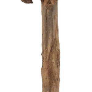 Trixie Matatabi žaislas katei lazdelė su katžolės kamuoliuku, 11 cm, 1 vnt.