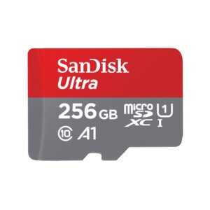 MEMORY MICRO SDXC 256GB UHS-I/SDSQUNR-256G-GN6TA SANDISK