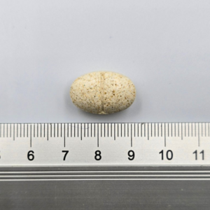 GAME DOG AniFlexi Marine V2 - papildai šunims - 80 tablečių - Image 2