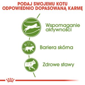 Royal Canin Active Life Outdoor sausas kačių maistas 4 kg Suaugusių Paukštiena - Image 3