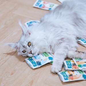 ANIMAL ISLAND White fish in broth - šlapias kačių maistas - 40x85g - Image 2