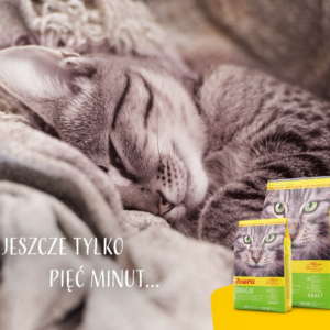 Josera 9510 sausas kačių maistas Suaugusiems Paukštiena, Ryžiai 10 kg - Image 3