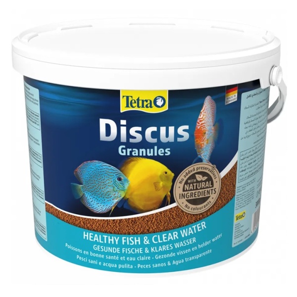 Discus-new