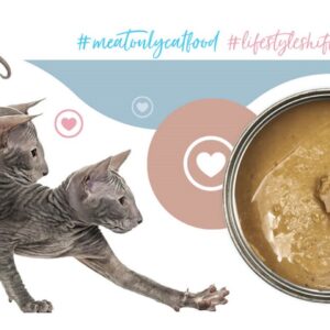 3COTY 41. Turkey and chicken for kittens - šlapias kačių maistas - 180g - Image 3