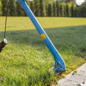 Elektrinis trimeris Blaupunkt GT3010, 250 W, PTBLCT008 - Image 2