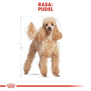 Royal Canin Poodle Adult 1,5 kg