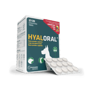 Hyaloral Giant N120, 1 vnt.